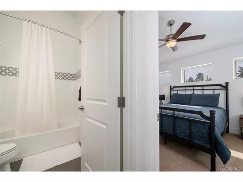 21 Kingfisher Pt, Fraser, CO 80442 photo 21