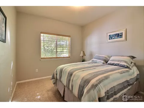 105 Arapaho St, Severance, CO 80550 photo 26