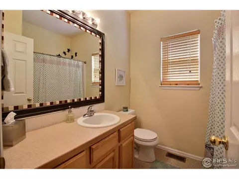 105 Arapaho St, Severance, CO 80550 photo 29