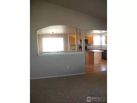 738 Corn Stalk Ct, Windsor, CO 80550 photo 6