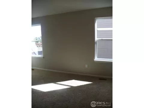 738 Corn Stalk Ct, Windsor, CO 80550 photo 13