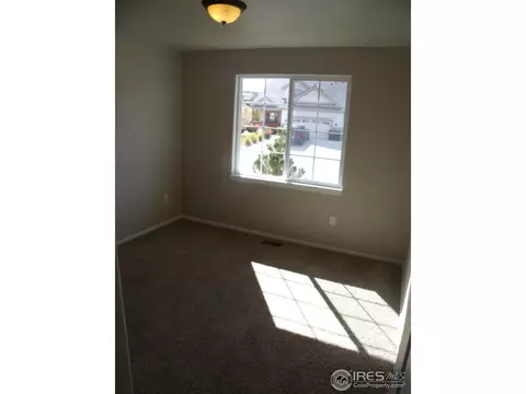 738 Corn Stalk Ct, Windsor, CO 80550 photo 18