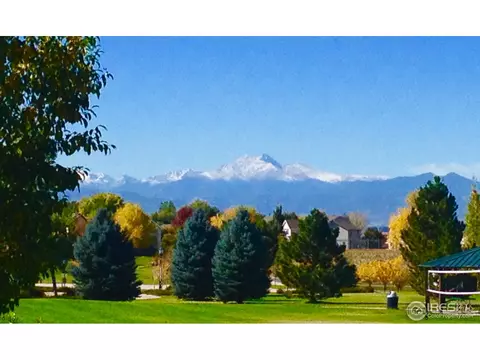 11445 Ebony St, Firestone, CO 80504 photo 9