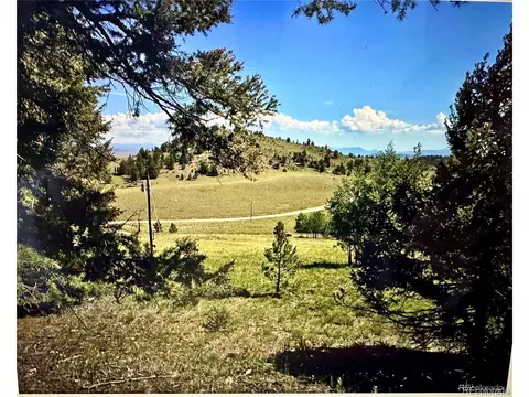 54 Blacksmith Rd, Hartsel, CO 80449 photo 4