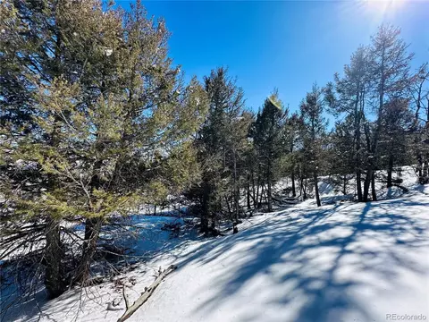 54 Blacksmith Rd, Hartsel, CO 80449 photo 7