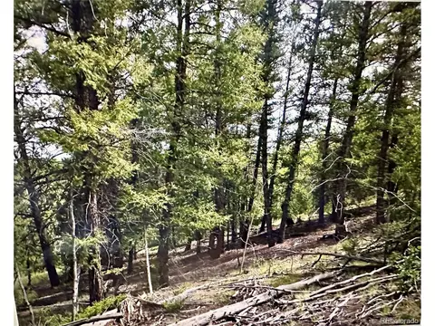54 Blacksmith Rd, Hartsel, CO 80449 photo 13