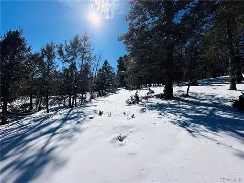 54 Blacksmith Rd, Hartsel, CO 80449 photo 9