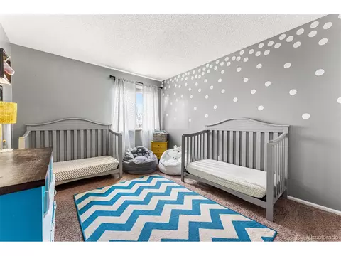 5454 E 114th Pl, Thornton, CO 80233 photo 23