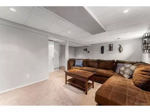 5454 E 114th Pl, Thornton, CO 80233 photo 27