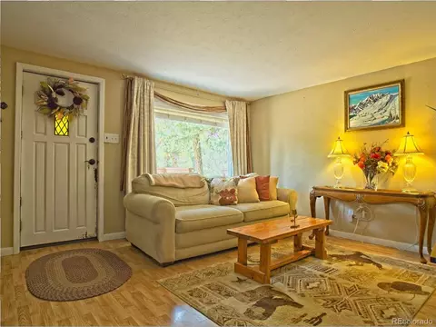 33775 Lutes Rd, Pine, CO 80470 photo 8