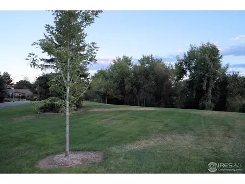 8207 Teller Ct, Arvada, CO 80003 photo 21