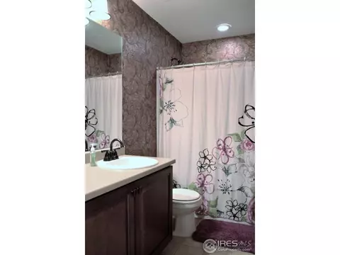 19209 E 47th Dr, Denver, CO 80249 photo 10