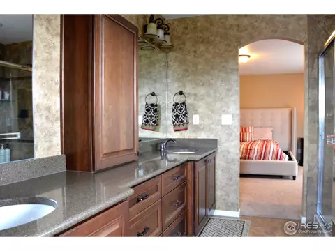 19209 E 47th Dr, Denver, CO 80249 photo 7
