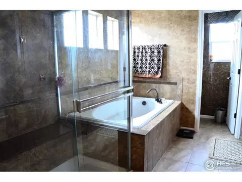 19209 E 47th Dr, Denver, CO 80249 photo 8