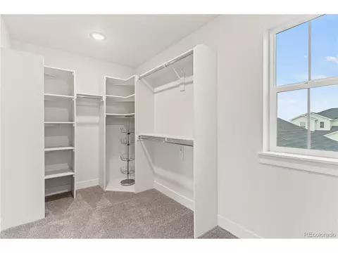 2104 Coyote Mint Dr, Monument, CO 80132 photo 19