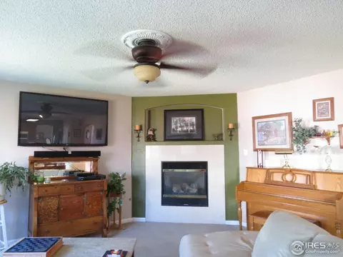 5887 Merganser Ct, Frederick, CO 80504 photo 11