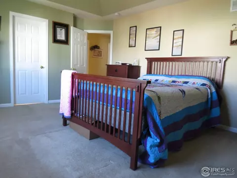 5887 Merganser Ct, Frederick, CO 80504 photo 14