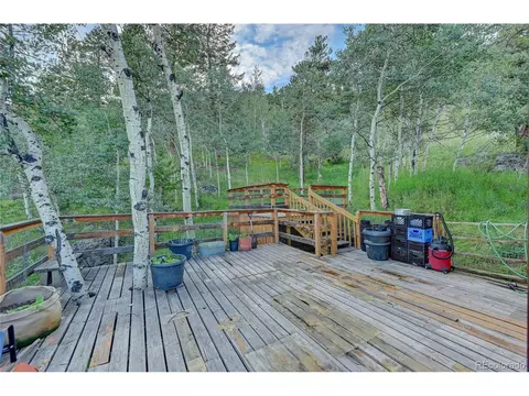 239 Pinecrest Cir, Bailey, CO 80421 photo 7