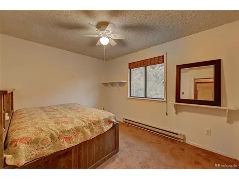 239 Pinecrest Cir, Bailey, CO 80421 photo 21