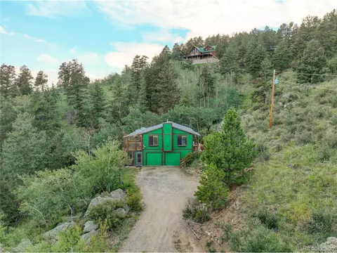 239 Pinecrest Cir, Bailey, CO 80421 photo 30
