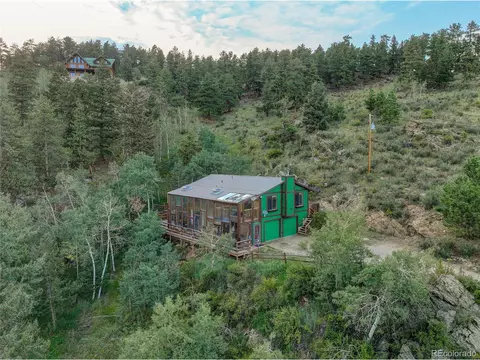 239 Pinecrest Cir, Bailey, CO 80421 photo 29