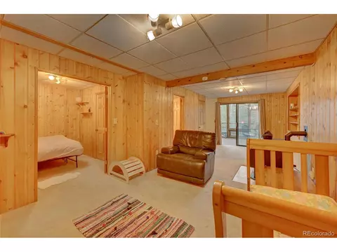 239 Pinecrest Cir, Bailey, CO 80421 photo 25