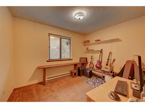 239 Pinecrest Cir, Bailey, CO 80421 photo 22