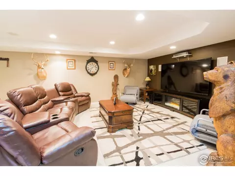 10372 Foxfire St, Firestone, CO 80504 photo 23