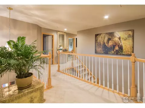 10372 Foxfire St, Firestone, CO 80504 photo 14