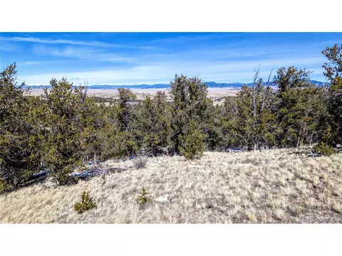 774 Kuipers Dr, Hartsel, CO 80449