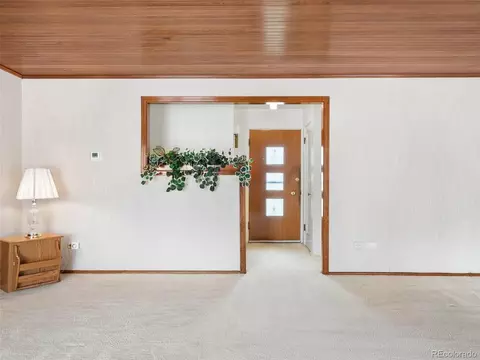 2900 Forest St, Denver, CO 80207 photo 6