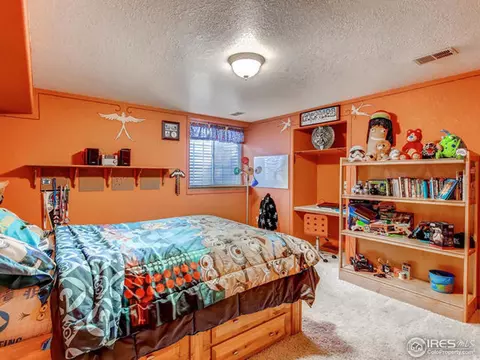 316 E Nebraska Ave, Berthoud, CO 80513 photo 20