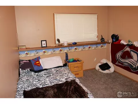 820 Jay Pl, Berthoud, CO 80513 photo 12