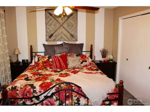 820 Jay Pl, Berthoud, CO 80513 photo 8
