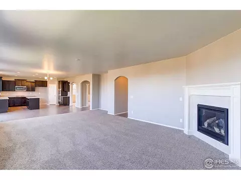 2252 Stonefish Dr, Windsor, CO 80550 photo 9
