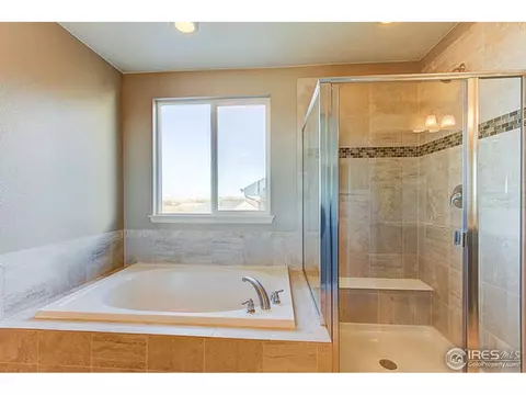 2252 Stonefish Dr, Windsor, CO 80550 photo 16