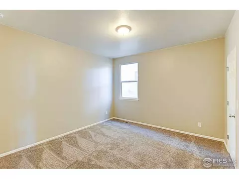 2252 Stonefish Dr, Windsor, CO 80550 photo 11