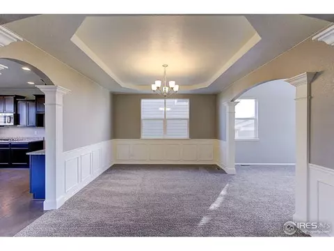2252 Stonefish Dr, Windsor, CO 80550 photo 4