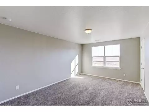 2252 Stonefish Dr, Windsor, CO 80550 photo 23