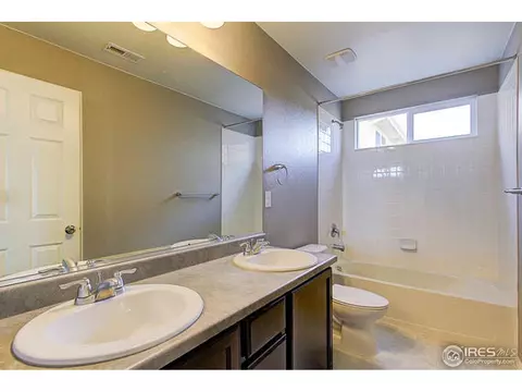 2252 Stonefish Dr, Windsor, CO 80550 photo 20