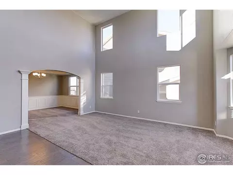 2252 Stonefish Dr, Windsor, CO 80550 photo 2