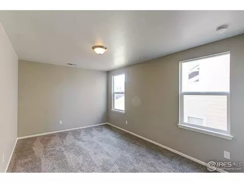 2252 Stonefish Dr, Windsor, CO 80550 photo 21