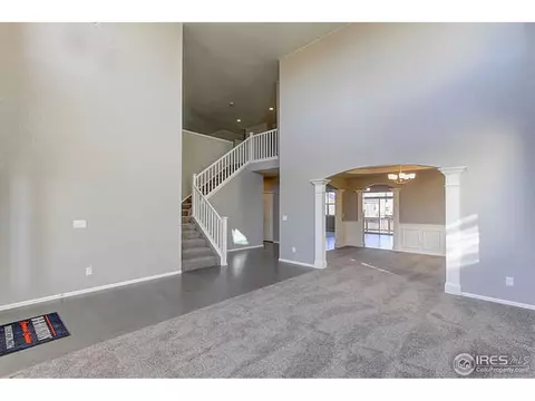 2252 Stonefish Dr, Windsor, CO 80550 photo 3