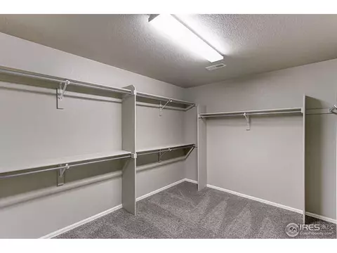 2252 Stonefish Dr, Windsor, CO 80550 photo 17