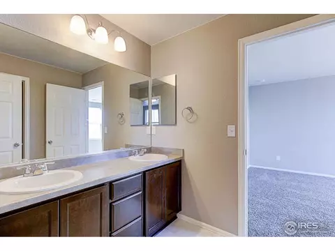 2252 Stonefish Dr, Windsor, CO 80550 photo 22