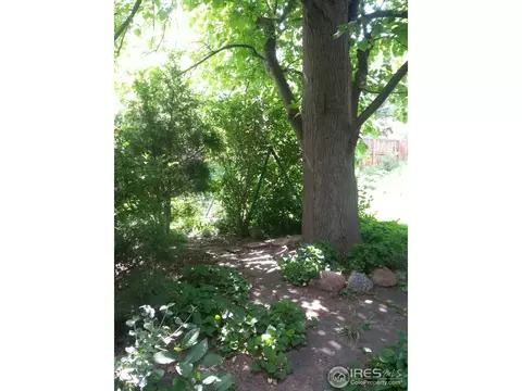 1205 Berea Dr, Boulder, CO 80305 photo 24