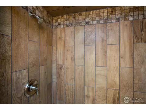 133 W 4th Ave, Severance, CO 80546 photo 21