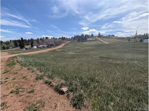 83 Fountain Dale Ln, Divide, CO 80814