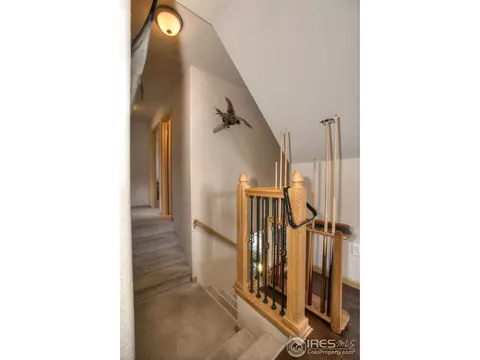 1075 Mahogany Way, Severance, CO 80550 photo 22