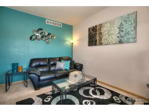 1075 Mahogany Way, Severance, CO 80550 photo 11